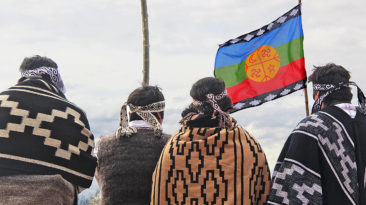 mapuches