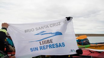 Río Santa Cruz sin represas