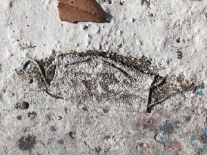 barbijos-fabián piedras