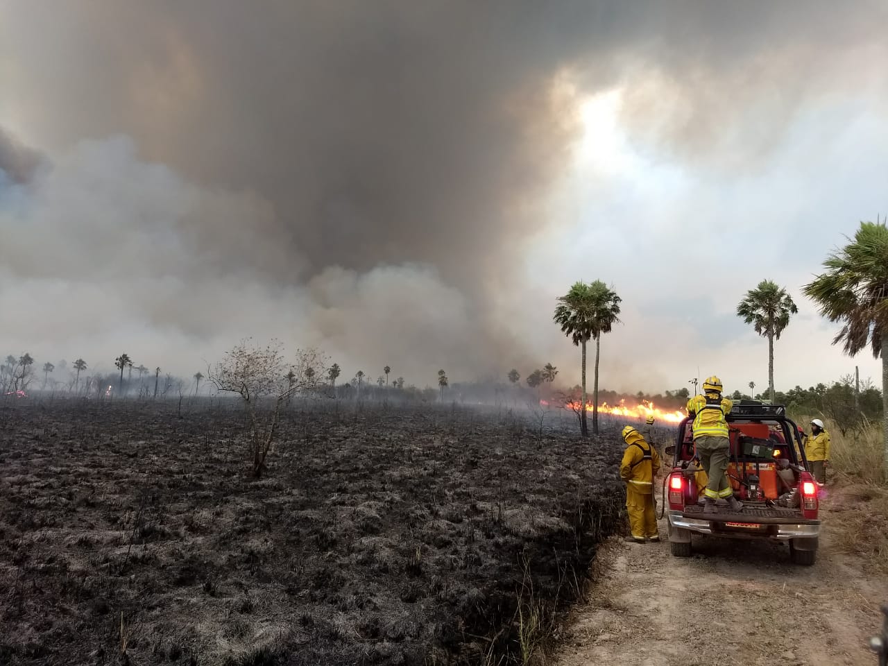 Incendio en Iberá - Corrientes