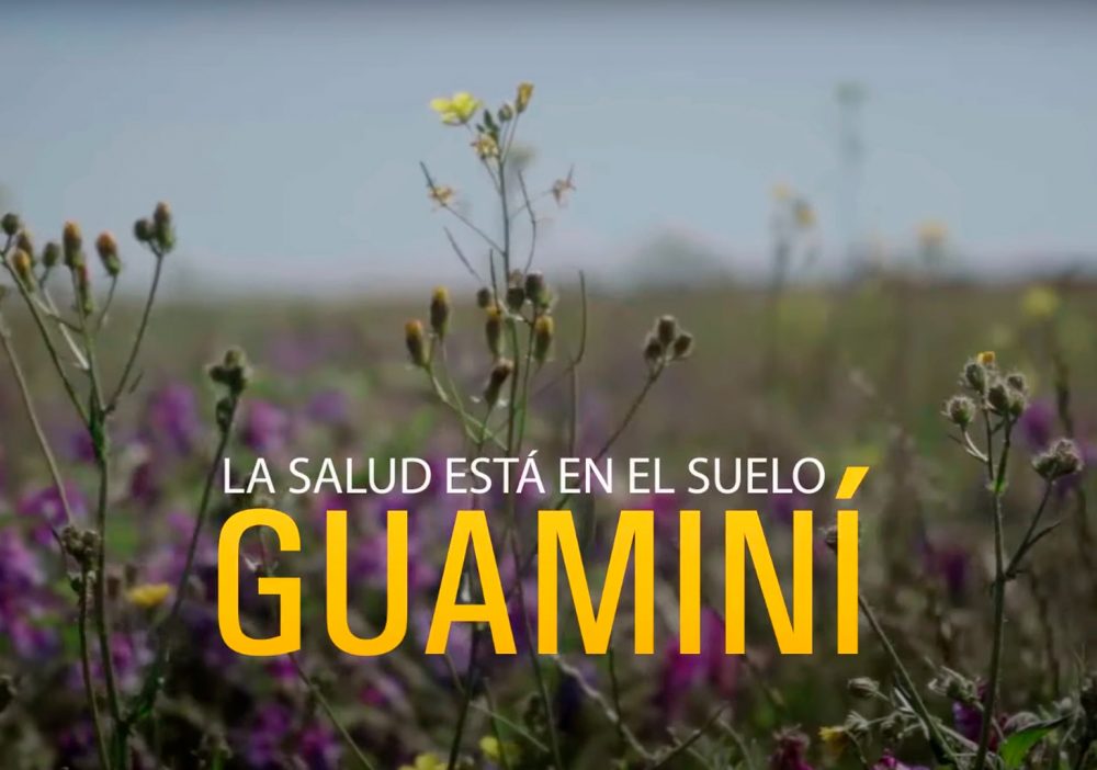 Guaminí - La salud está en el suelo - documental
