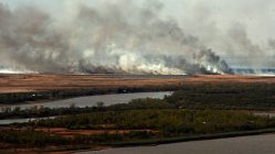 incendios en el delta