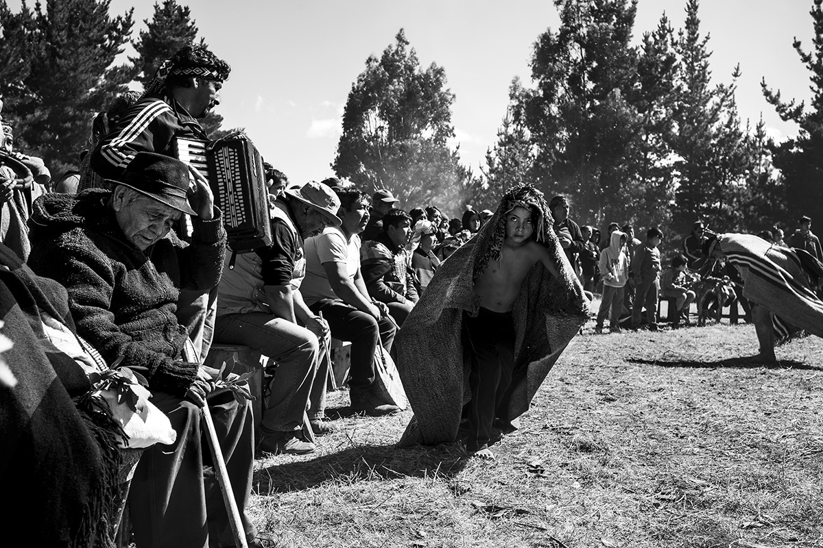 mapuches piovano