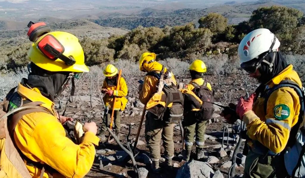 Brigada Forestal Chiviquín