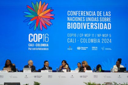 cop16