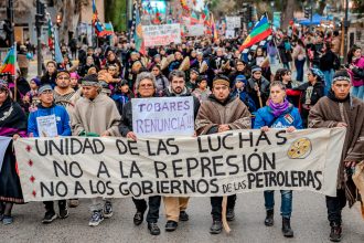 Marcha confederacion mapuche 24 de julio