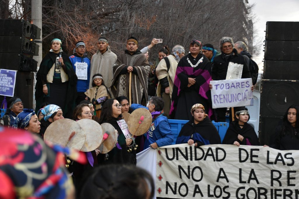 Marcha confederacion mapuche 24 de julio