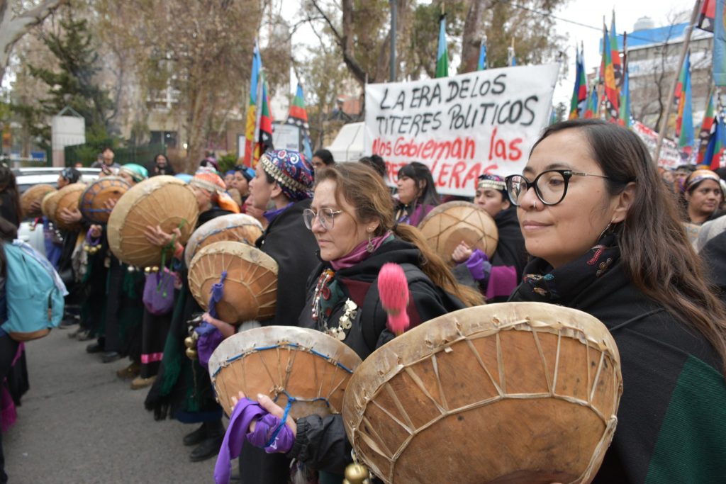 Marcha confederacion mapuche 24 de julio