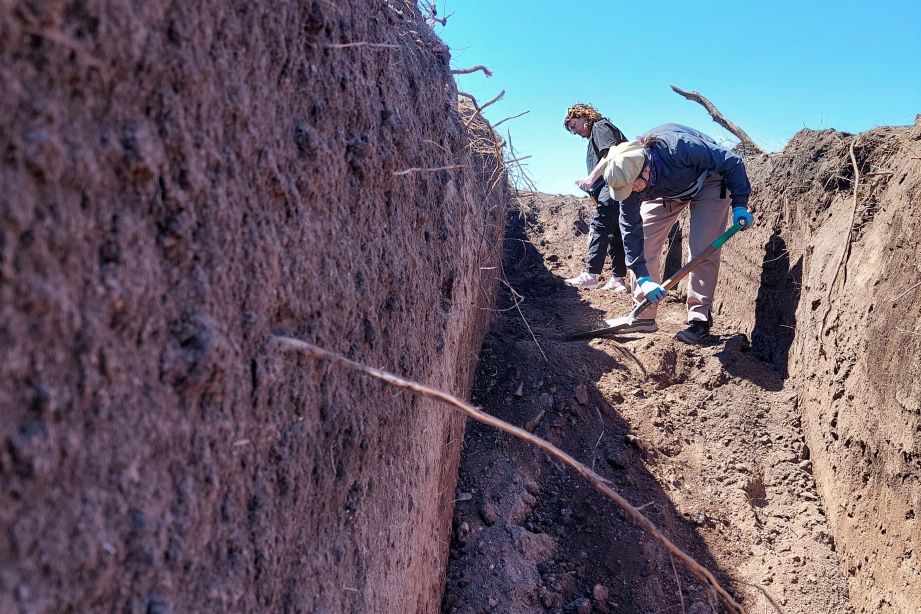 La Perla excavaciones