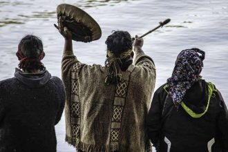 mapuches eugenia neme
