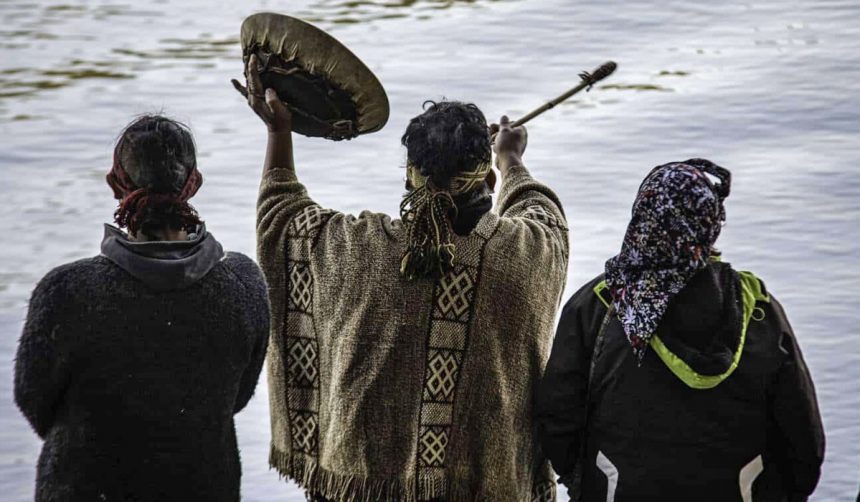 mapuches eugenia neme