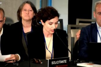 Francisco “Paco” Rabini (SiPreBA), atrás Paula Litvachky (CELS), Julia Mengolini (Futurock), y Claudio Jacquelin (FOPEA)