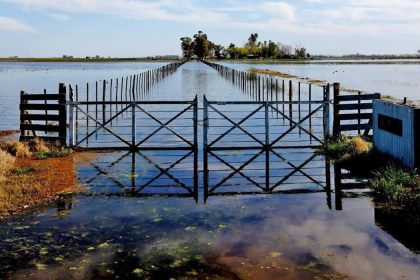 inundaciones bonaerenses