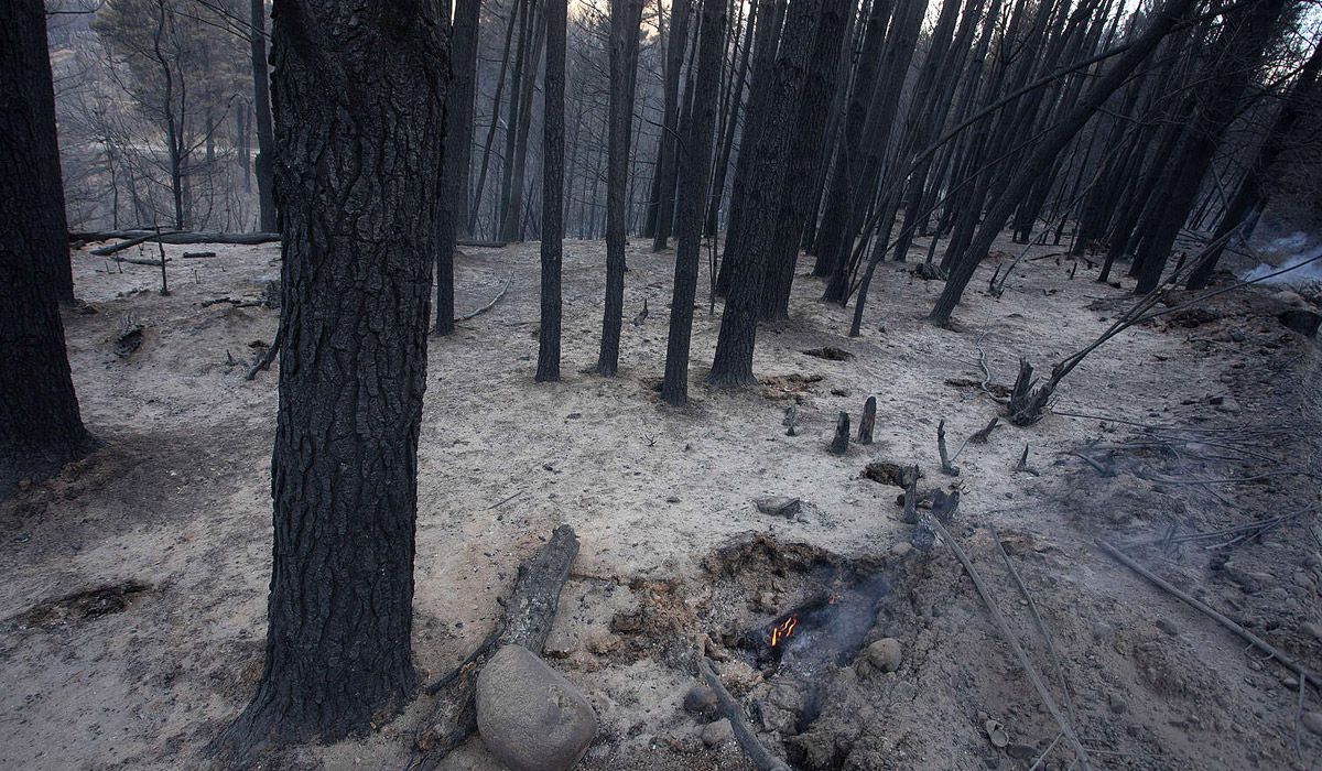matias garay greenpeace argentina
