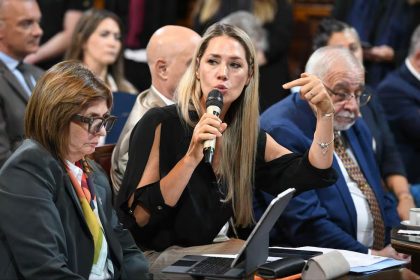 Foto: Mario Mosca / Comunicación Institucional Senado / Tomada de Página/12.
