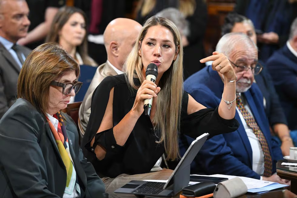 Foto: Mario Mosca / Comunicación Institucional Senado / Tomada de Página/12.